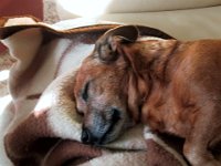 127-2774 IMG